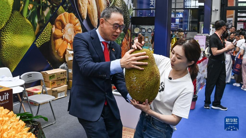 大赢家大乐透过滤软件